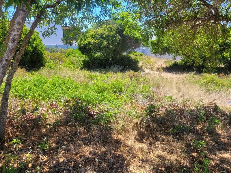 0 Bedroom Property for Sale in Kleinbaai Western Cape